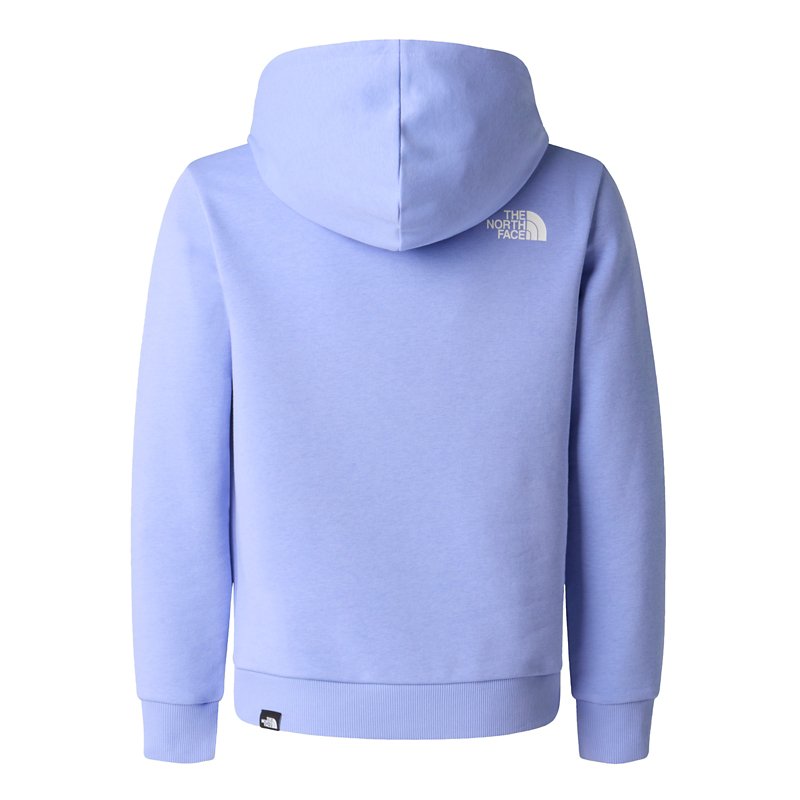 THE NORTH FACE Sweatshirt à capuche garçon Simple Dome