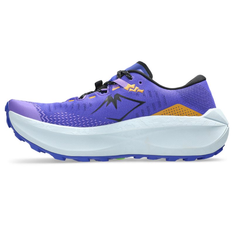 ASICS Chaussures de trail homme Trabuco Max 5 Bleu et noir
